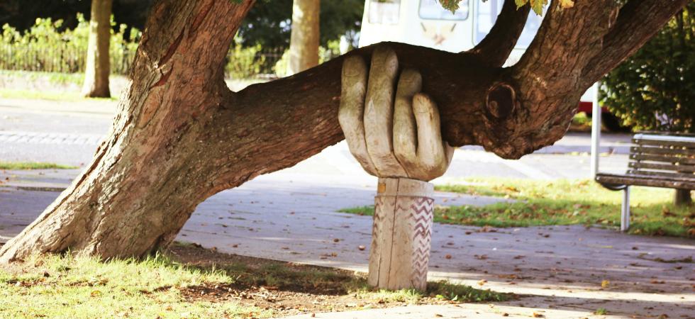 A photo of a brown tree which is growing sideways, with a wooden post carved to look like a hand which is supporting one of the large boughs.