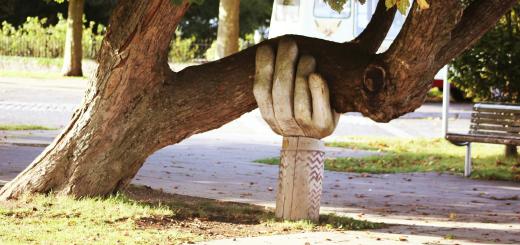 A photo of a brown tree which is growing sideways, with a wooden post carved to look like a hand which is supporting one of the large boughs.