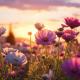 A field of tall poppies in pink and purple with a sunset behind.