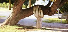 A photo of a brown tree which is growing sideways, with a wooden post carved to look like a hand which is supporting one of the large boughs.