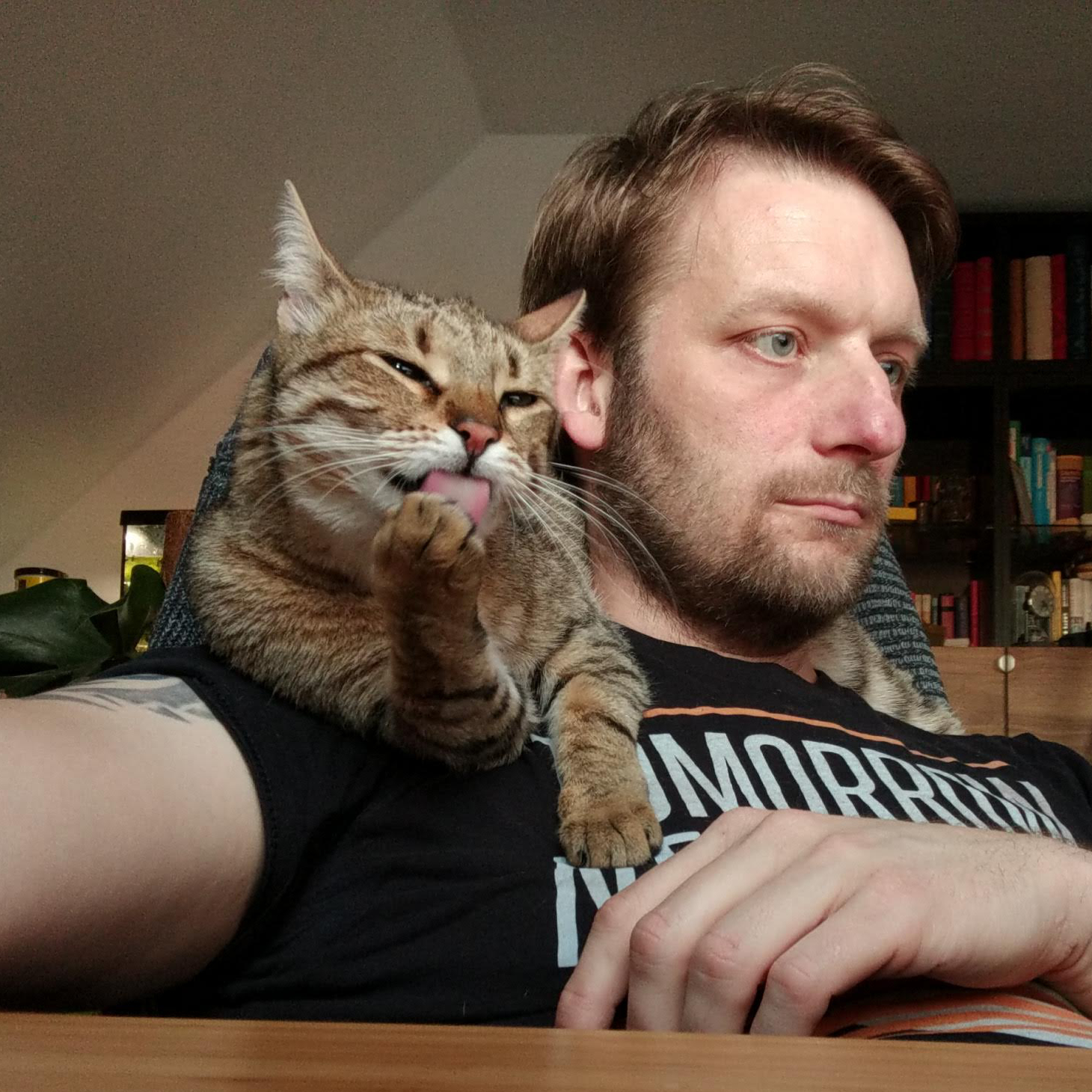 Photo of a man working at a computer wearing a dark tshirt, and a cat sitting on his shoulder licking its paw