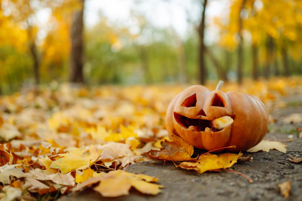 Photo in an autumnal woodland with lots of yellow and orange leaves on the floor, and a carved pumpkin with a smiling face in the foreground.