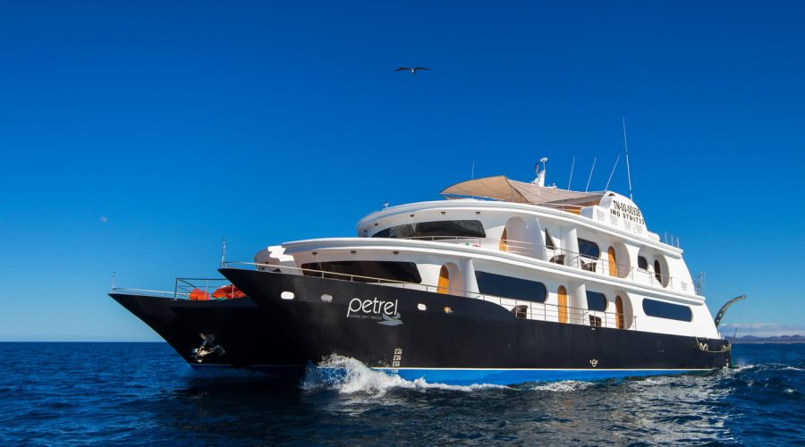 Image of a large powerboat on a calm sea with blue skies behind.