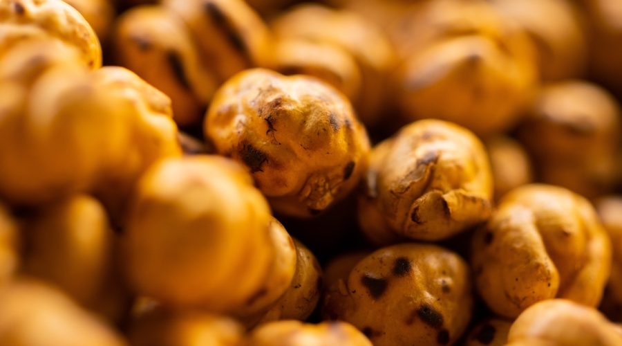 Close up photo of chickpeas